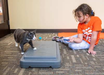 Kids learn to teach their pets simple behaviors like sitting or responding to their names.  Credit: Alyson Yates