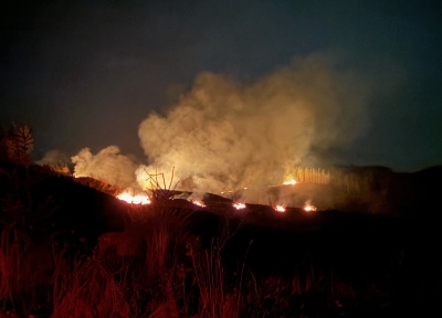 fire in clear cut timber. Photo: Sara Monk