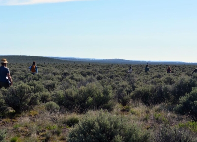 Students in the Rangeland Ecology and Management field course explore the landscape at the Northern Great Basin Experimental Range in Harney County.  Credit: Alex Dohman